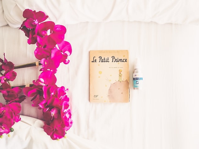  Free Audio Books: The Little Prince Book on bed and flowers