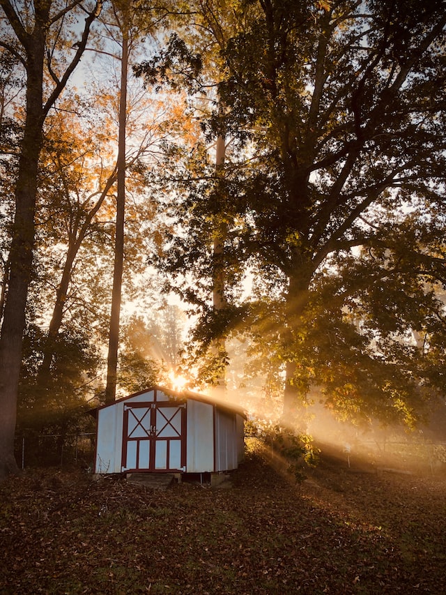  Sunrise In The Backyard