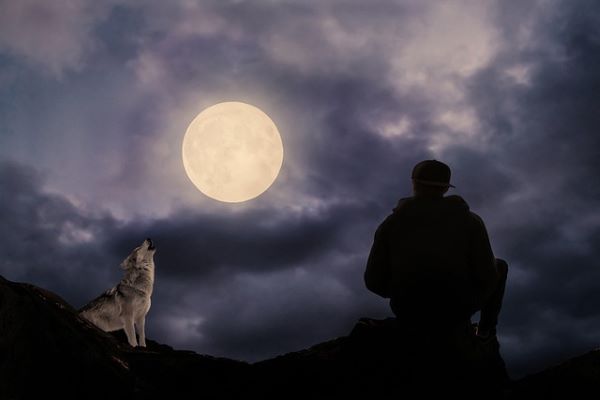 Best Werewolf Books The Wolf's Hour