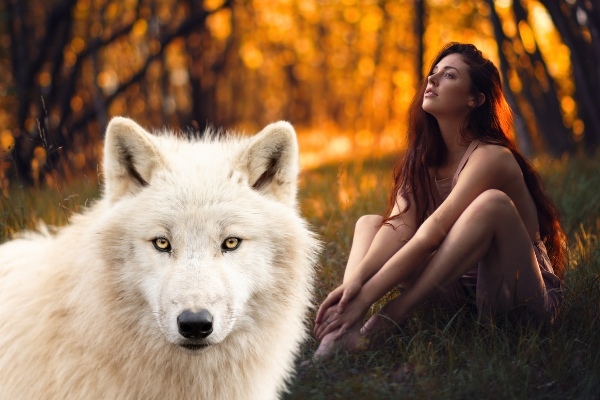 The Millennium Wolves: A Juicy Supernatural Romance - Wehear