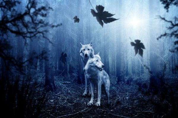 The Guardian Wolf And Her Alpha Mate Werewolf Fantasy